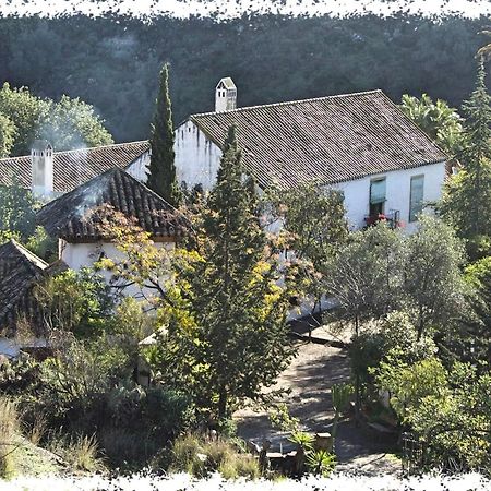 Вілла Cortijo Casas Viejas Малага Екстер'єр фото