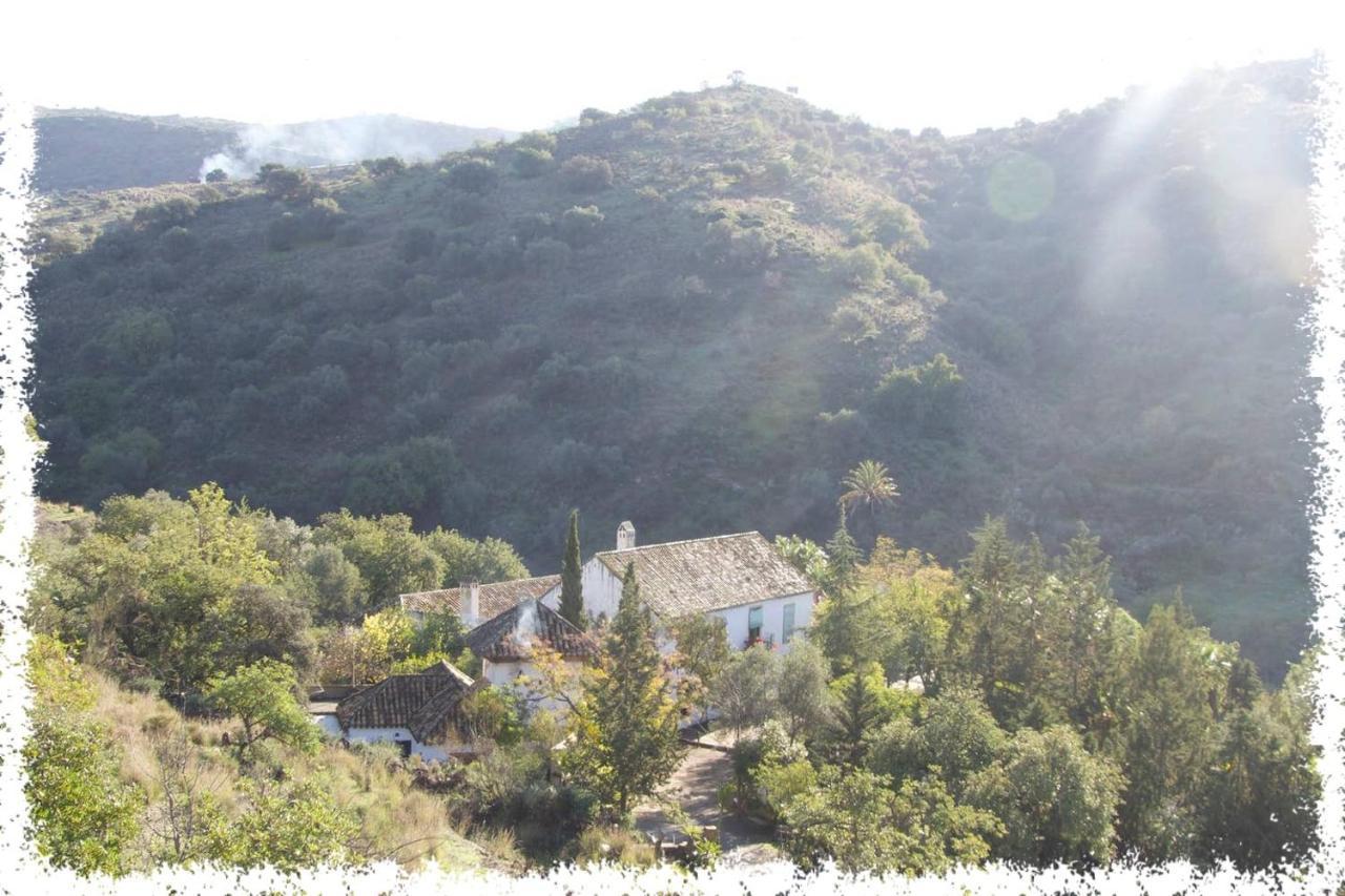 Вілла Cortijo Casas Viejas Малага Екстер'єр фото
