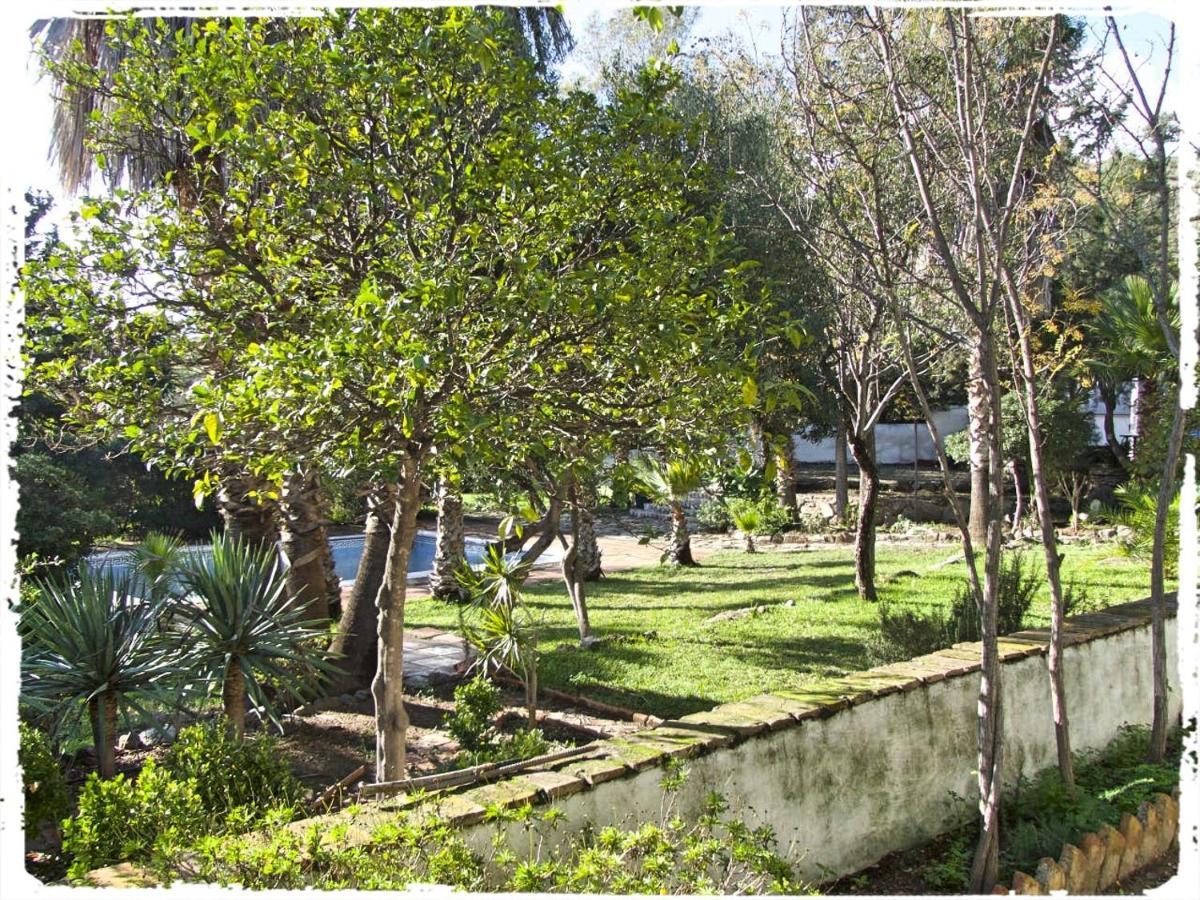 Вілла Cortijo Casas Viejas Малага Екстер'єр фото