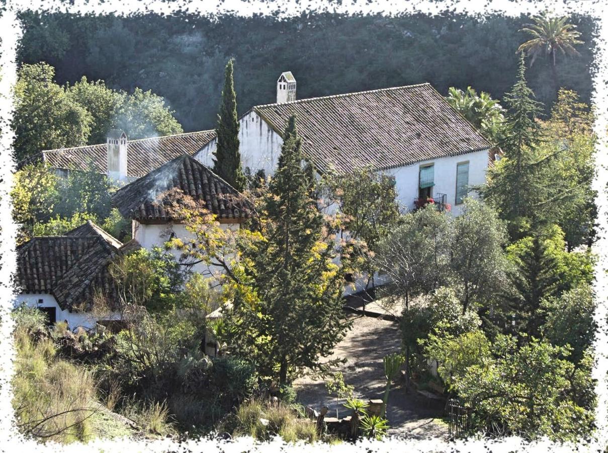 Вілла Cortijo Casas Viejas Малага Екстер'єр фото
